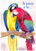 Perroquets color&eacute;s pour un chaleureux bonjour
